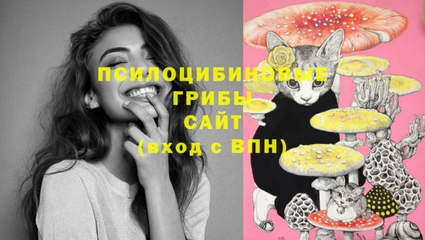 марки lsd Алзамай