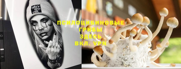 ECSTASY Алексин