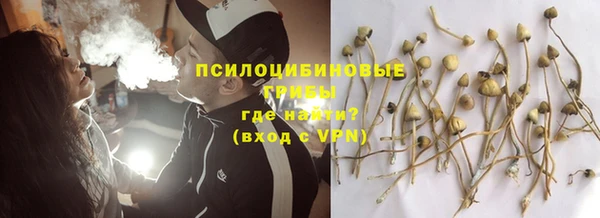 ешки Алексеевка