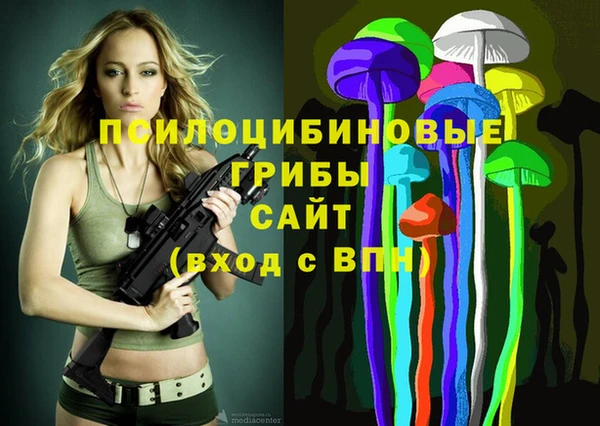 ECSTASY Алексин