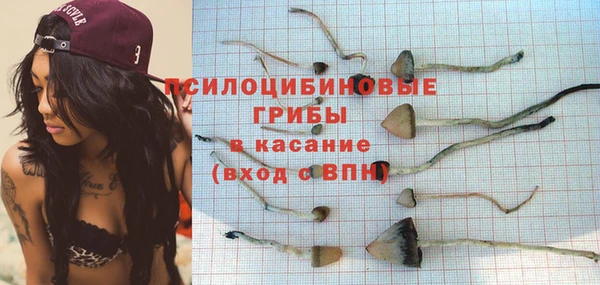 ешки Алексеевка