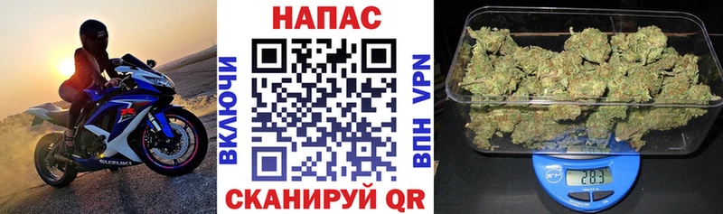 KRAKEN онион  цена   Балабаново  Каннабис планчик 